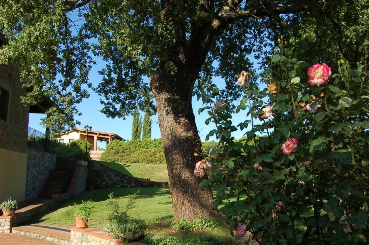 Agriturismo Il Palazzo Pergine Valdarno Ngoại thất bức ảnh